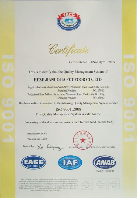 ISO9001 Certificate